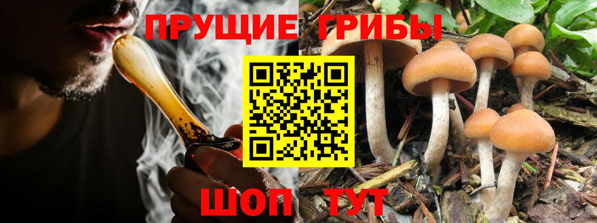 Псилоцибиновые грибы мухоморы  Вход с VPN  Алатырь 