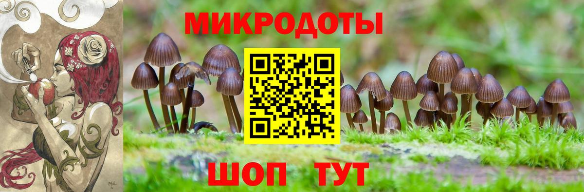 Галлюциногенные грибы ЛСД Алатырь